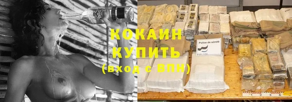 ПСИЛОЦИБИНОВЫЕ ГРИБЫ Вязьма