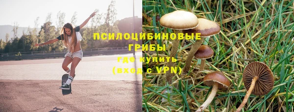 эйфоретик Вязники