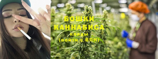 ПСИЛОЦИБИНОВЫЕ ГРИБЫ Вязьма
