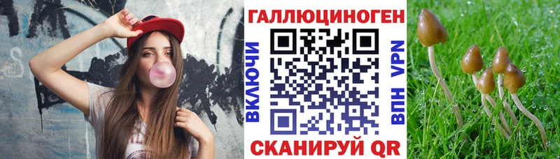 наркота  Нижневартовск  Псилоцибиновые грибы ЛСД 